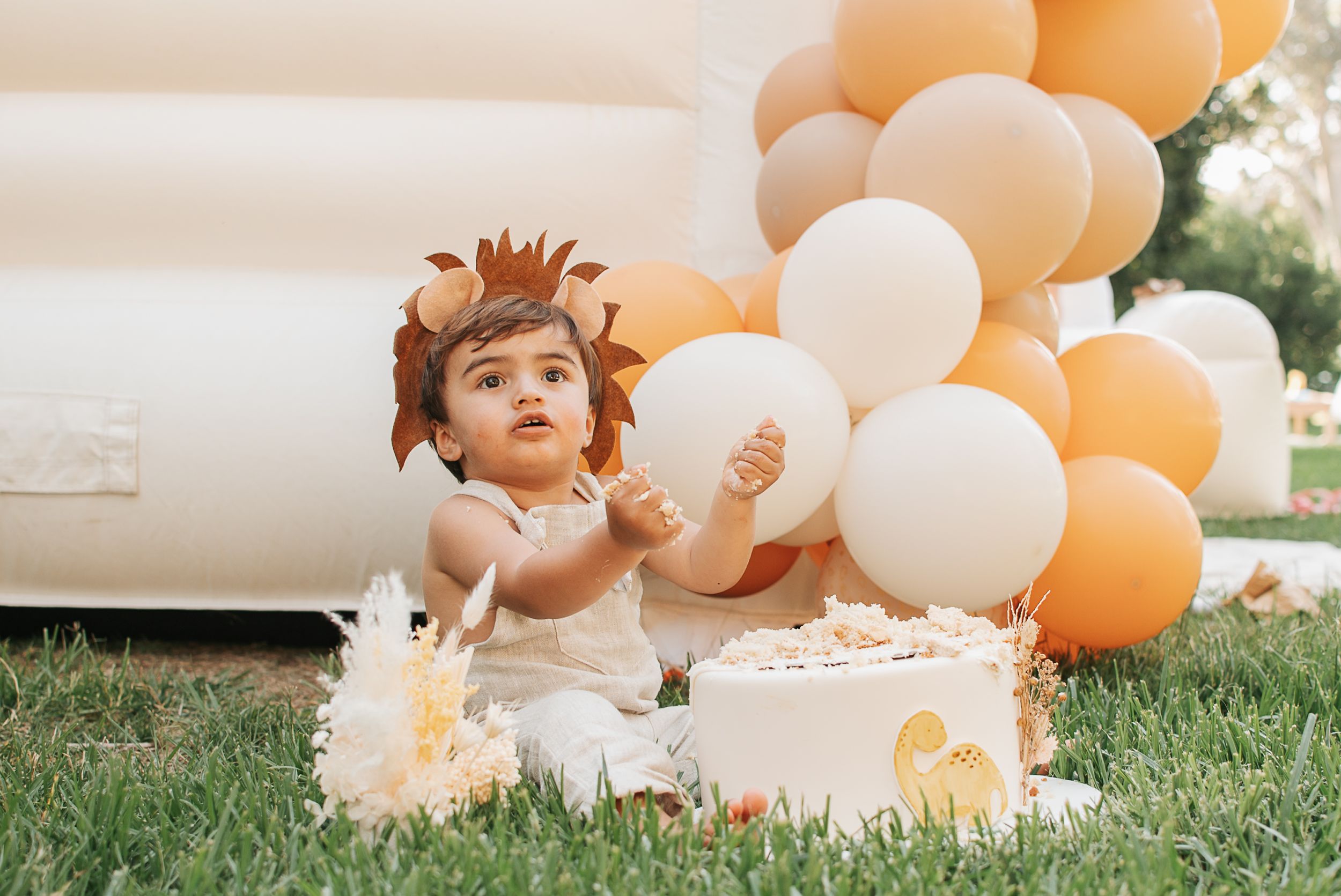 Small child wearing a lion headpiece plays with a white cake on grass surrounded by peach and white balloons.