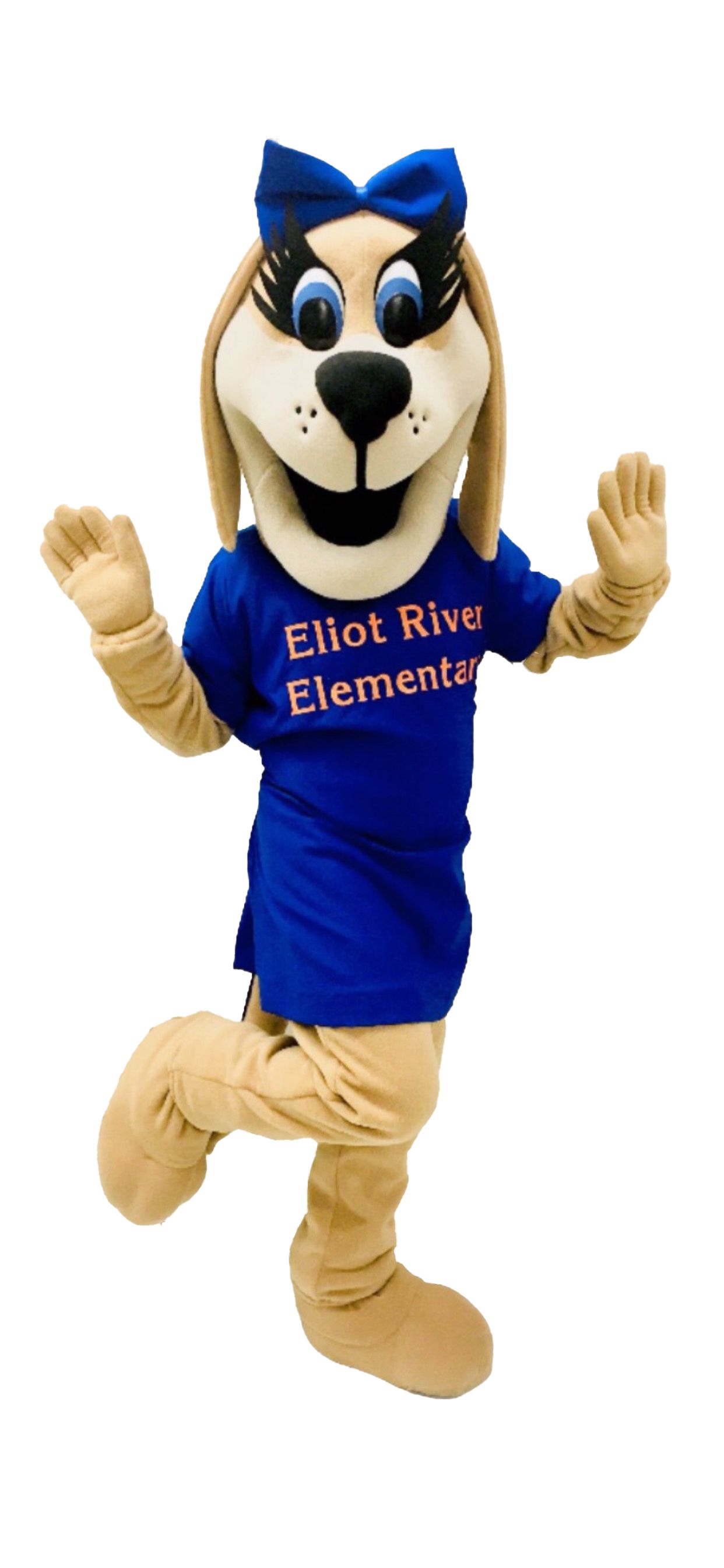 Dog Mascot HRM Eliot River Elementary School Mascot Team Well Designed Mascot Costume Canada Custom Mascot Costume Comp