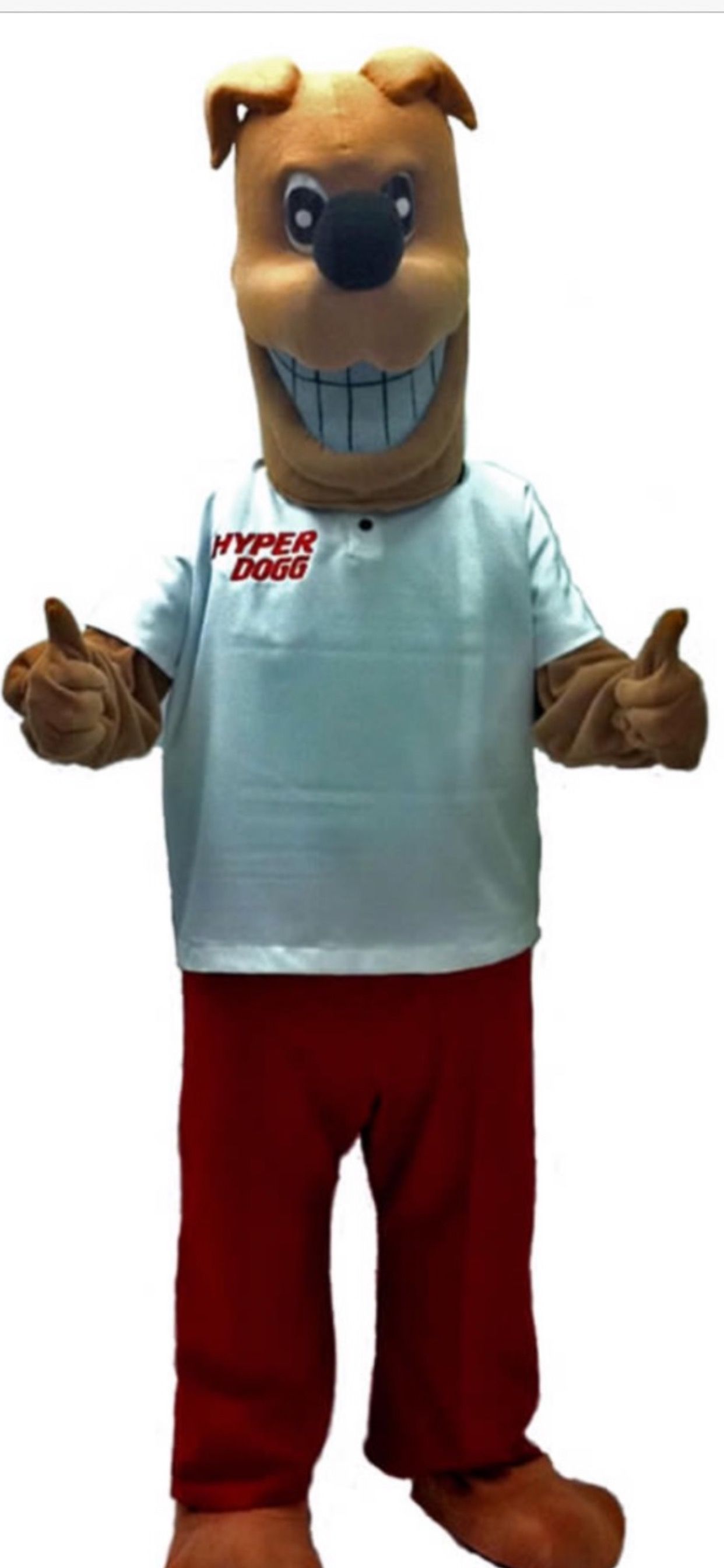 Dog Mascot Man's Best Friend Mascot HRM Well Designed Mascots Well Built Mascot Costumes Cleanable Easy to Wear Mascots