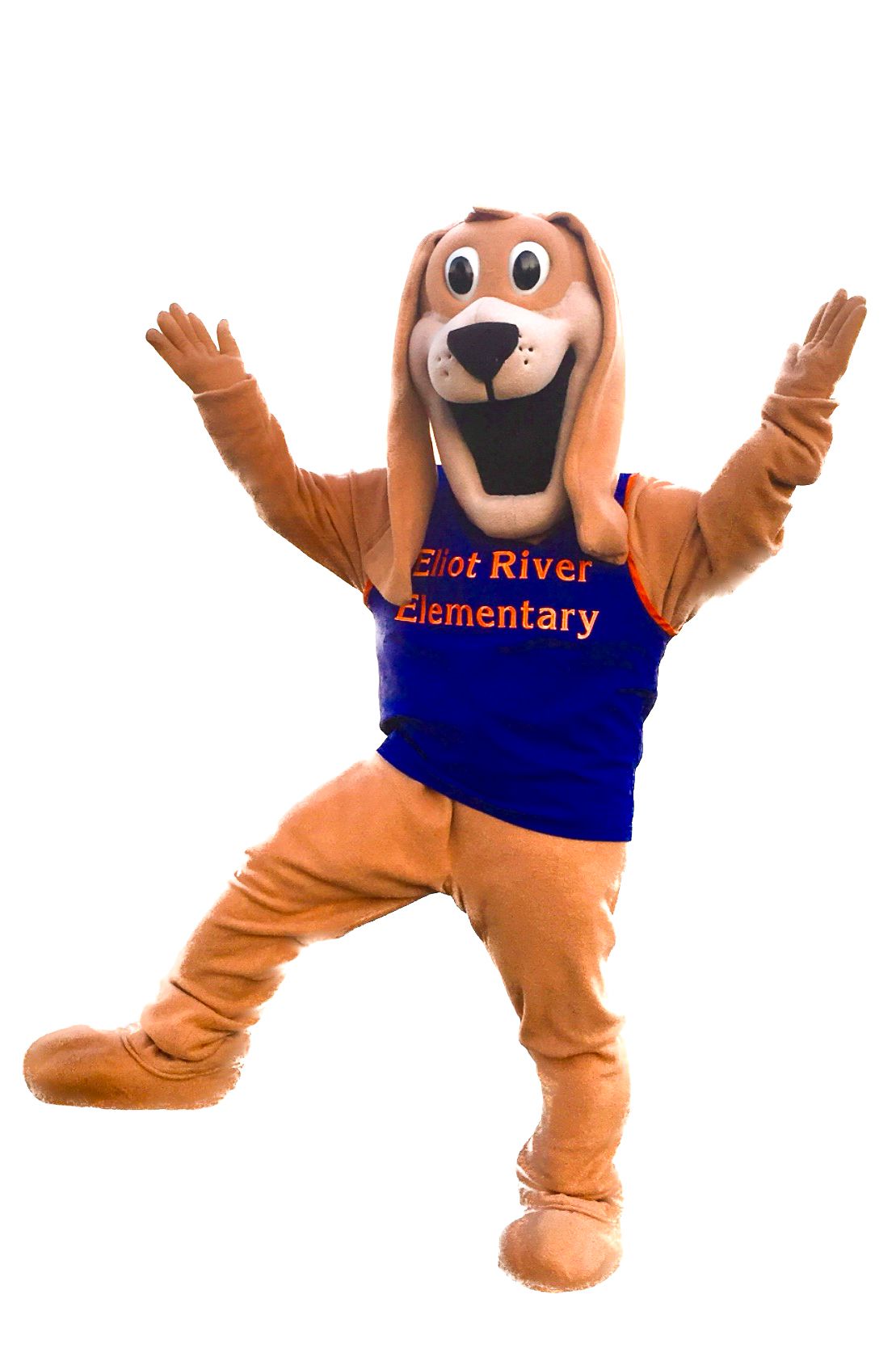 Dog Mascot Friendly Dog Mascot HRM Dog Costume Nova Scotia High Quality Mascot Costumes Canada Design Build Mascots