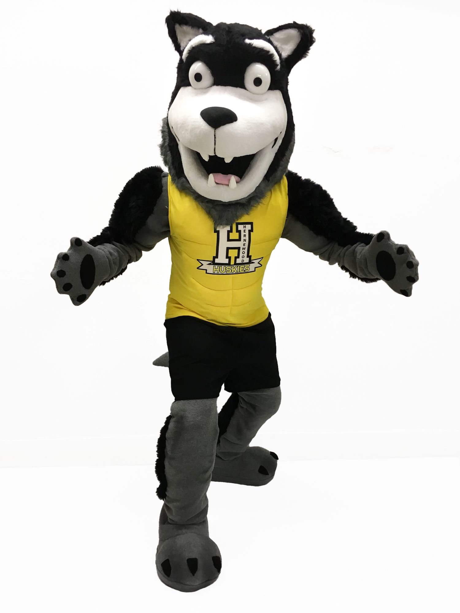 Husky Mascot HRM School Spirit Team Mascot Branding Comfortable Costumes Mascots Nova Scotia East Coast Mascot Maker NS