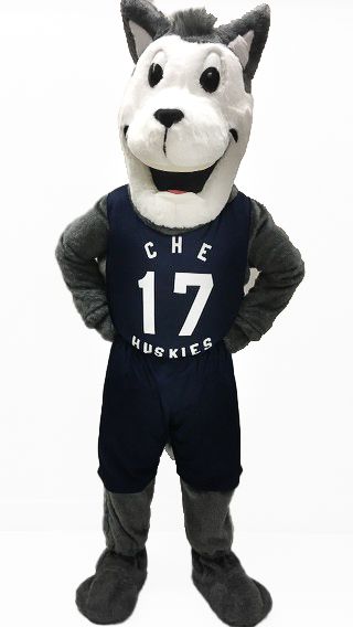 Husky Mascot HRM School Team Mascot Maker Nova Scotia Canada Amazing Mascots Halifax Local Durable Wearable Mascots NS