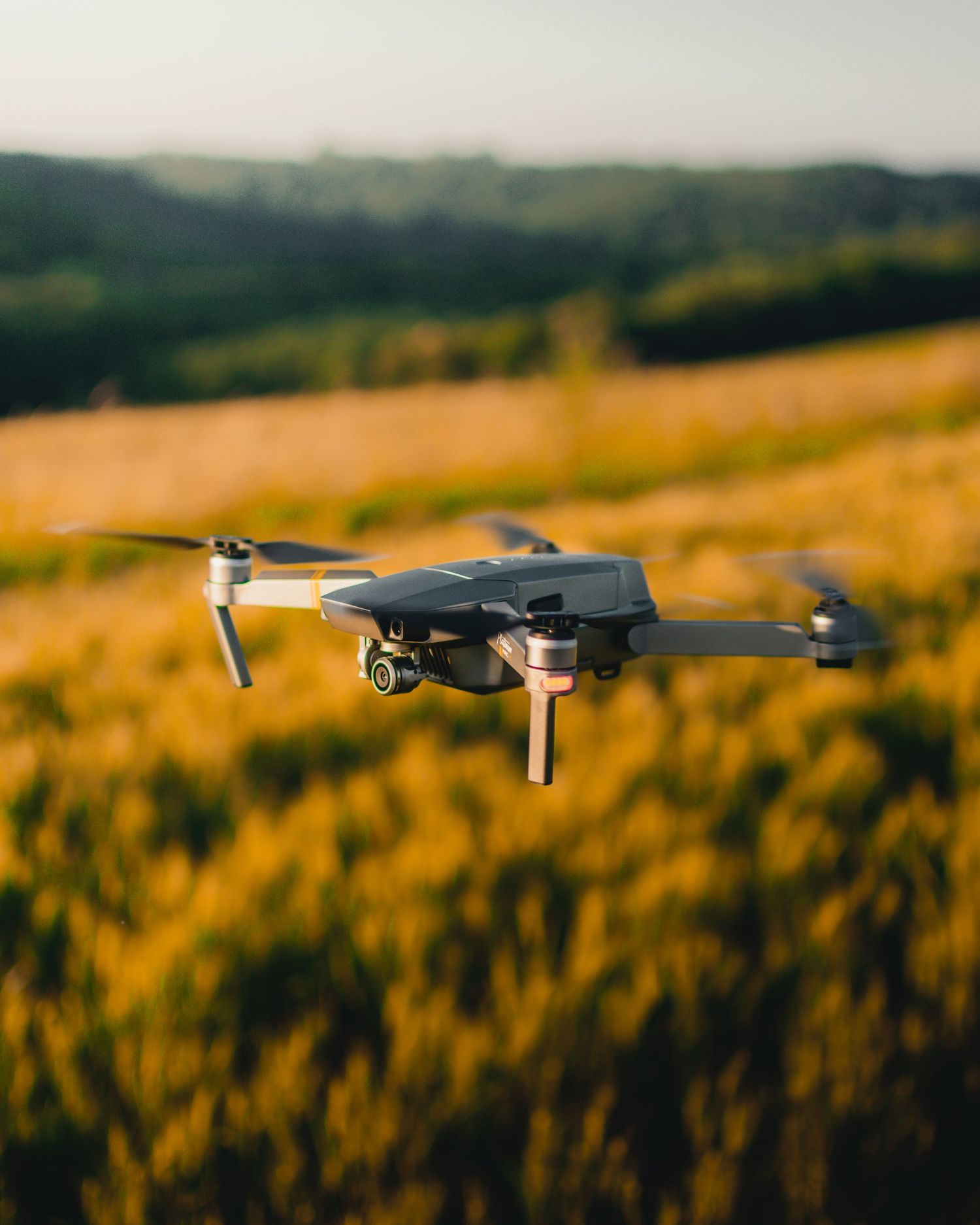 DJI drone hovering over golden wheat fields during sunset.