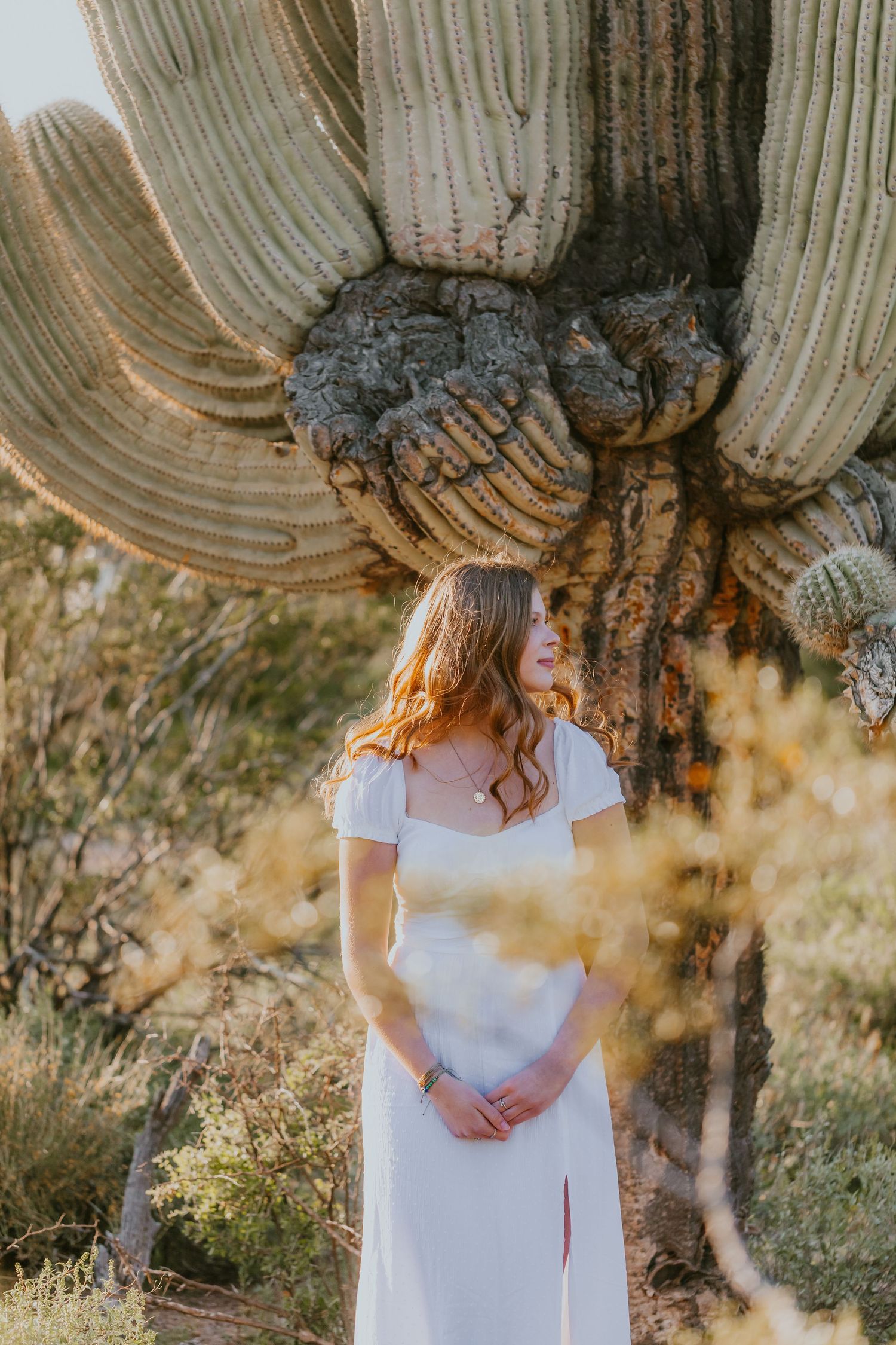 White dress photoshoot in a desert landscape with saguaro cactus at golden hour.