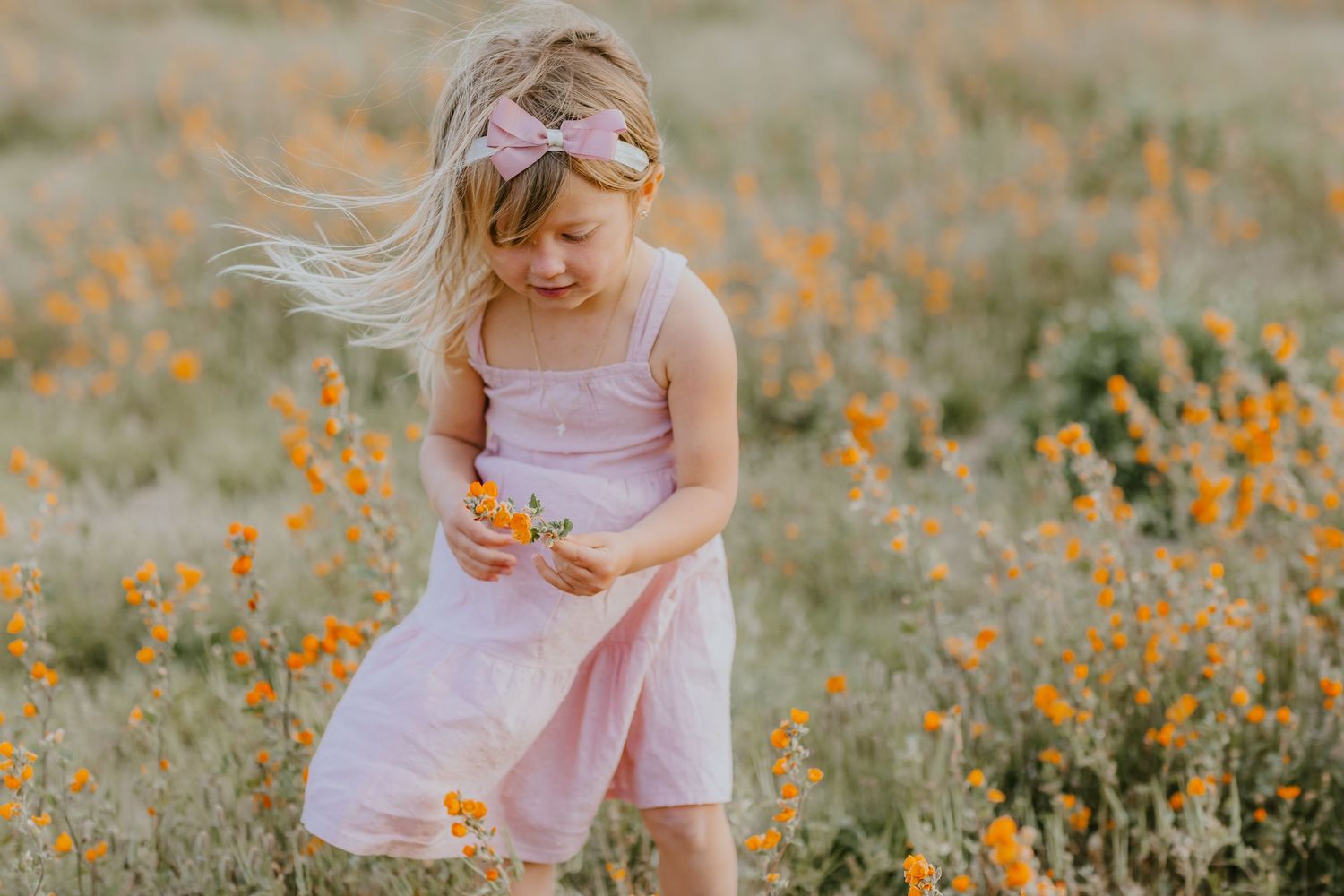 Child picking orange wildflowers in desert field during sunset.