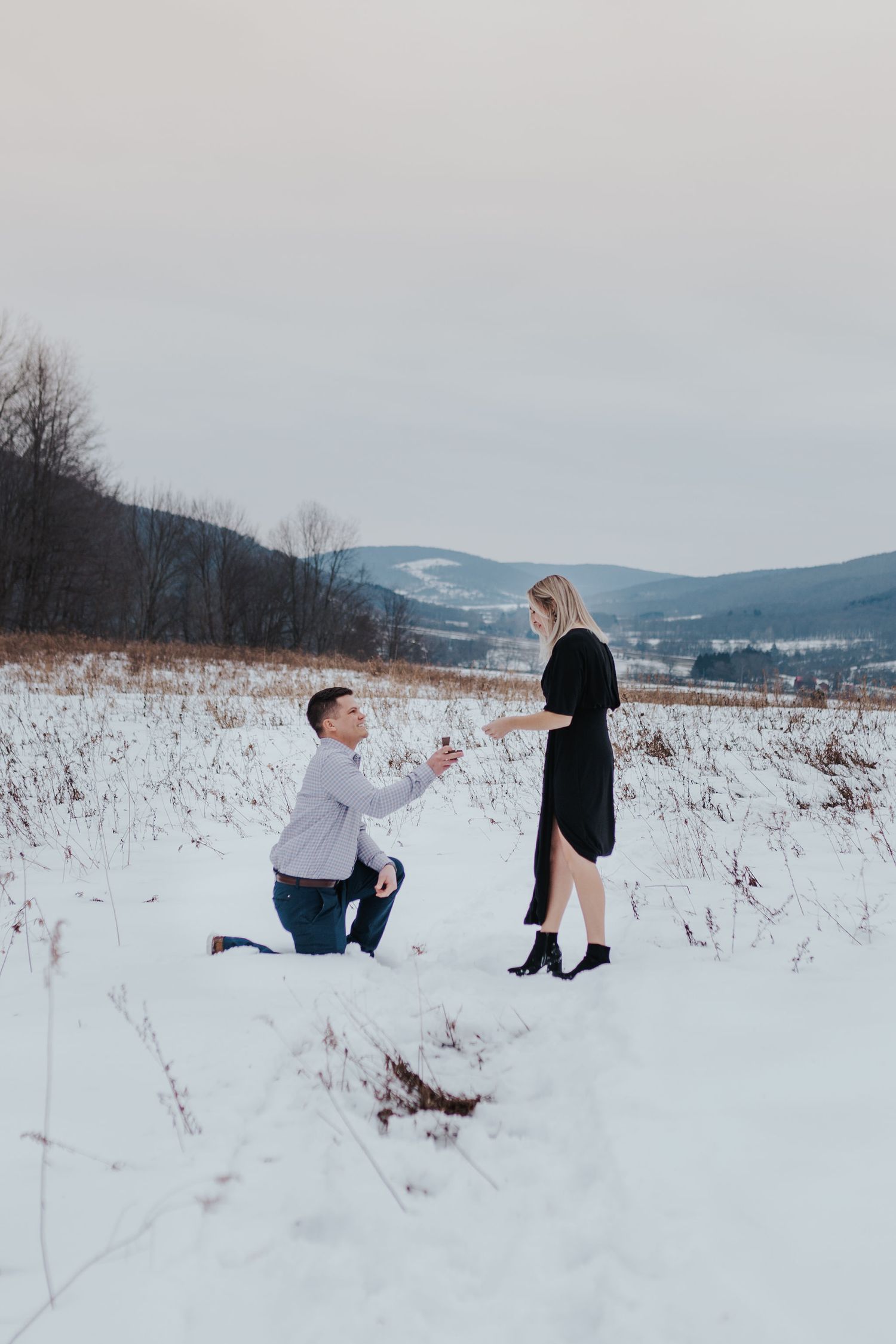 portrait bound and branch buffalo photography headshot photographer engagement photographer proposal photos proposal pho