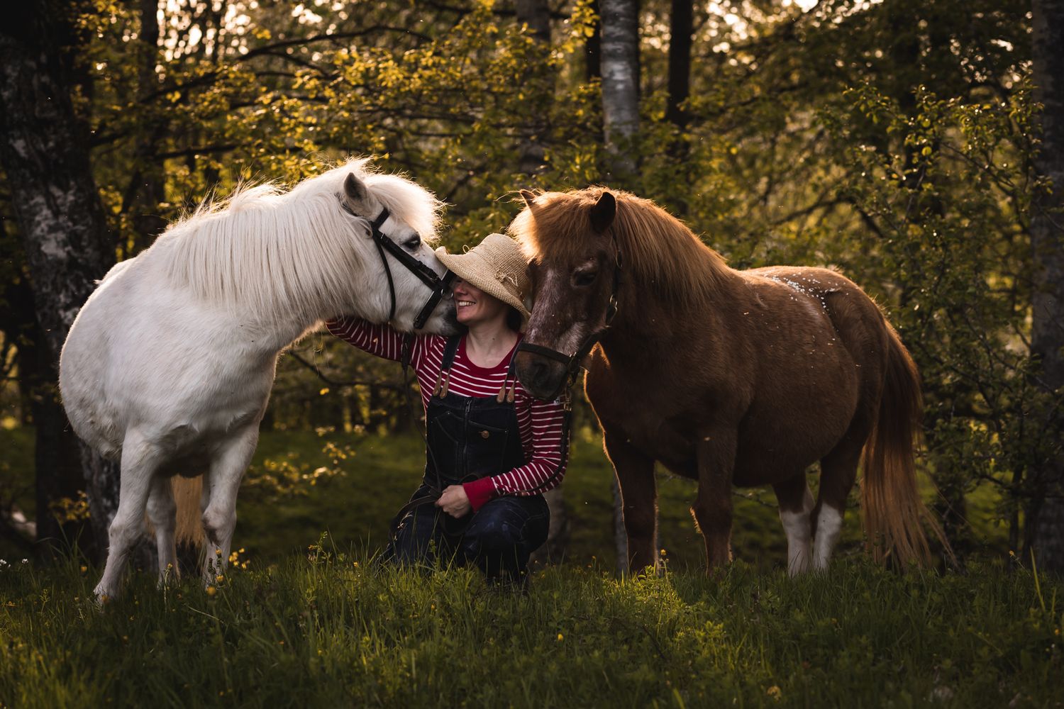 Two horses nuzzling someone between them in a forest setting at sunset.