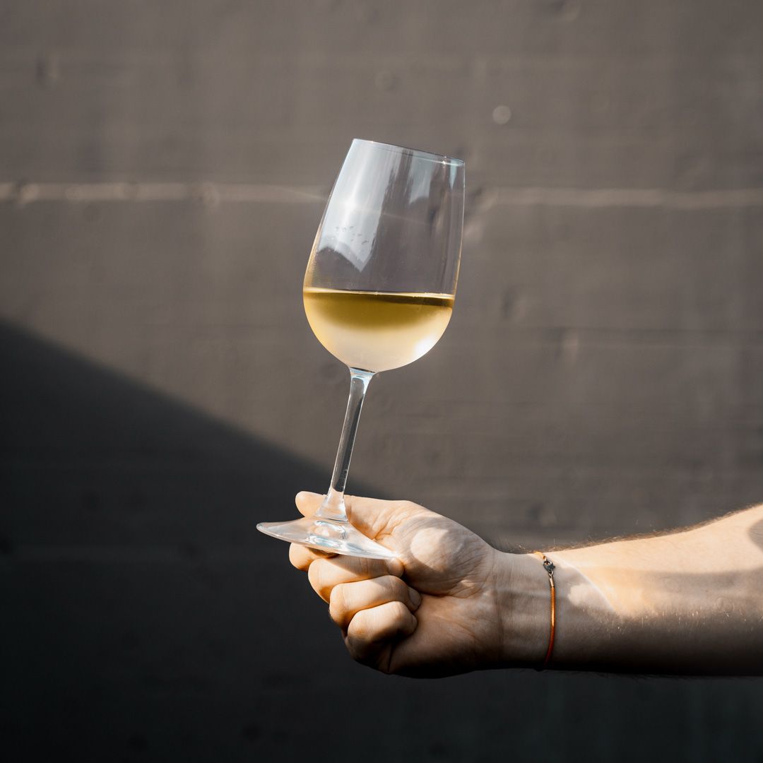 Scatto di un Calice di Passerina di Luci di Mezzo, Cantina Marchigiana