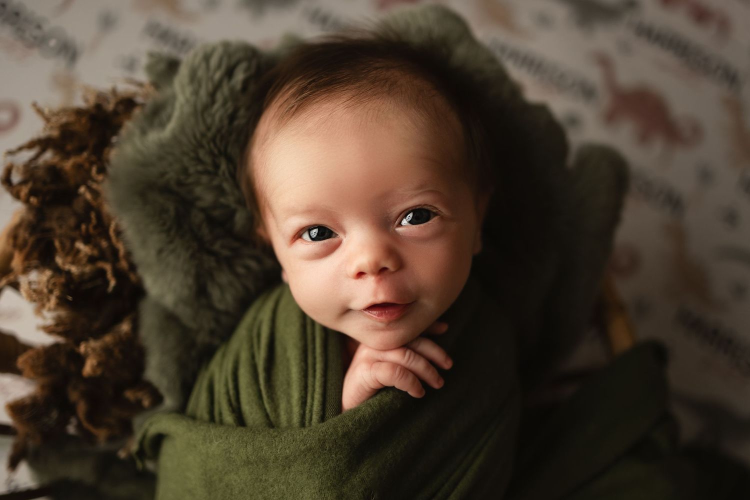 sarasota baby photos
