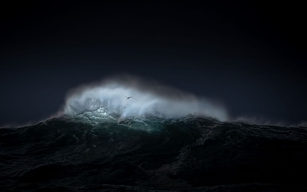 The New Wave series of photographs has been captured during huge swells along Australia's east coast.