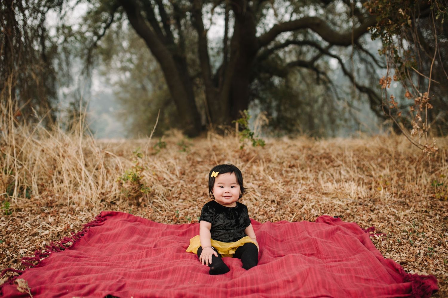 Baby sitting on red blanket in an autumn field surrounded by oak trees.