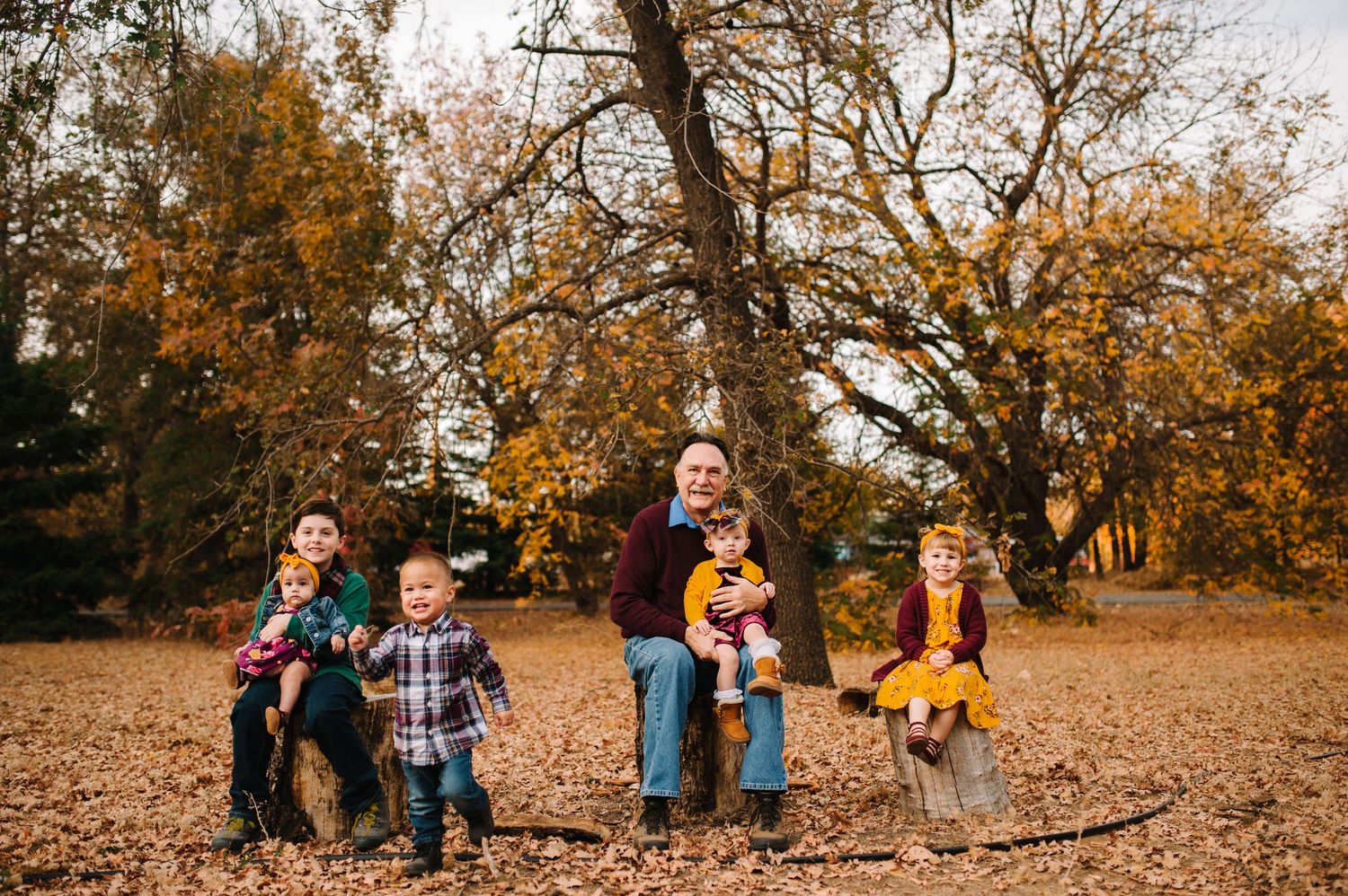 A group sits together on fallen autumn leaves beneath golden trees in an outdoor setting.