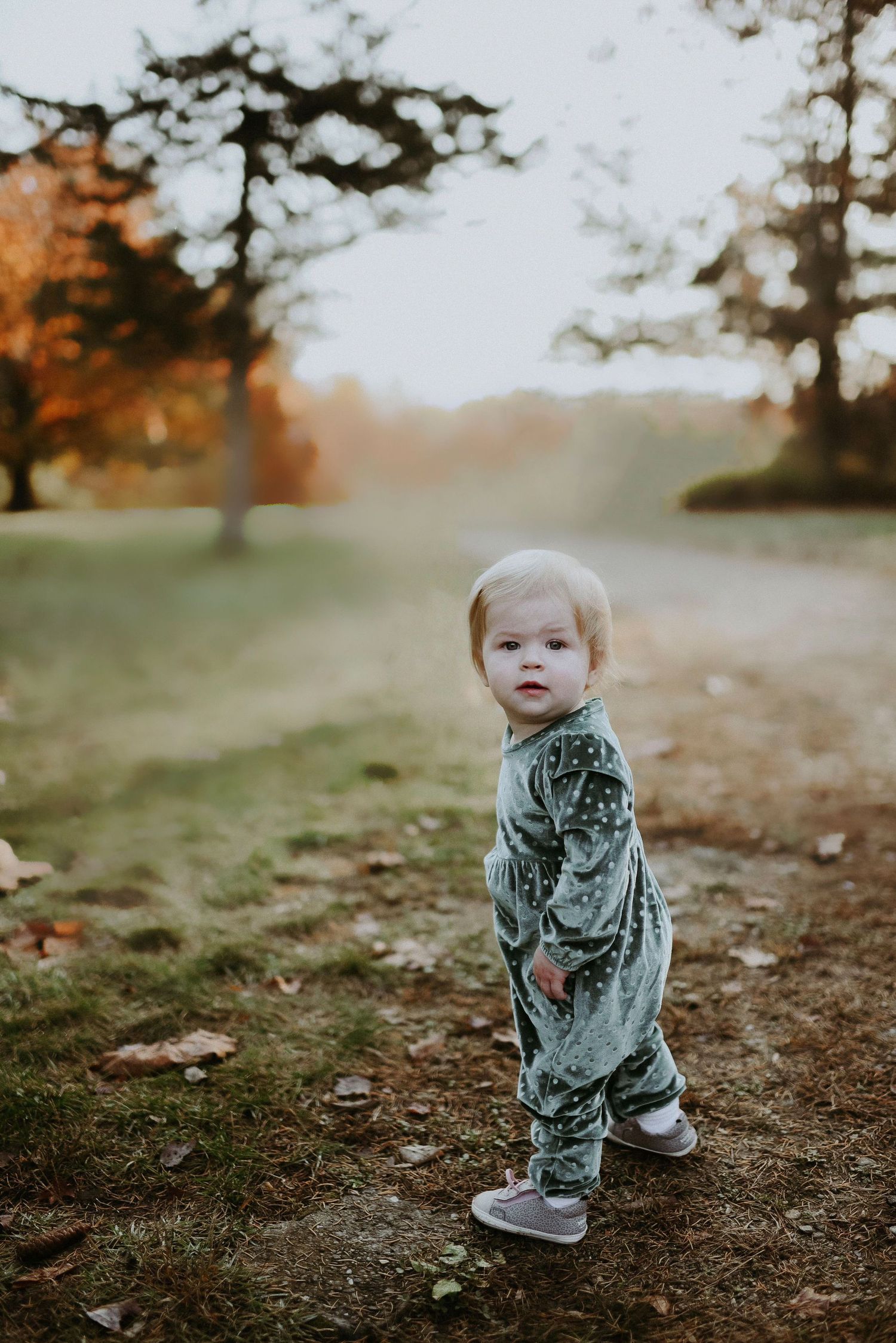 Krista LaPlante Photography