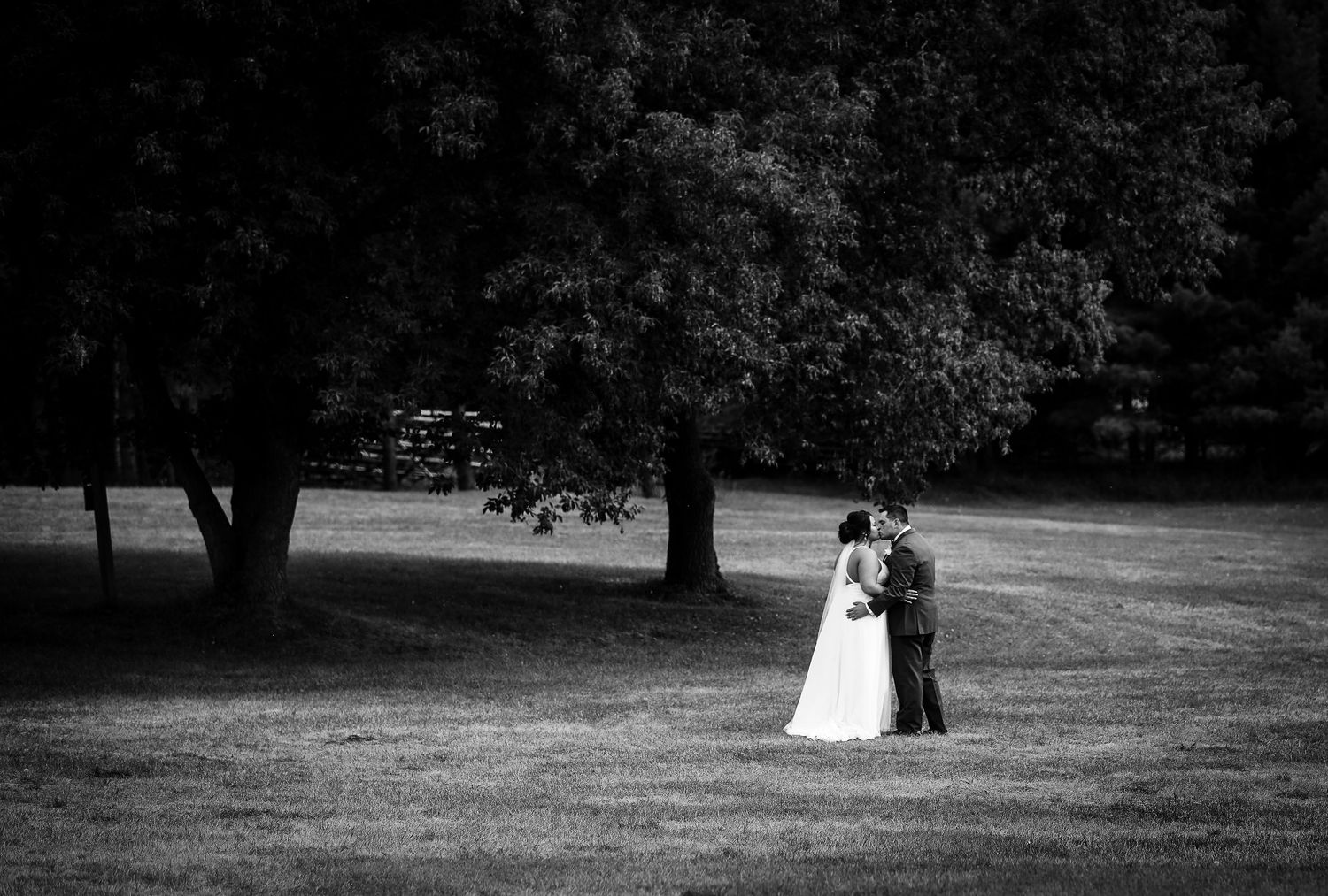 A silhouetted couple stands together in formal attire on a grassy field under large trees.