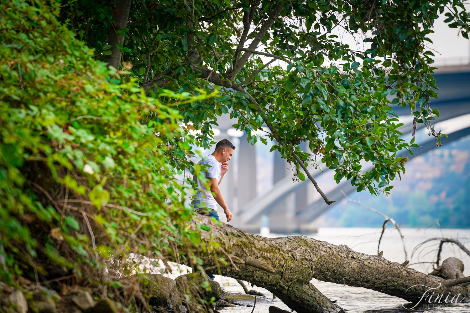 A small figure sits on a fallen tree branch near the water under lush green foliage.