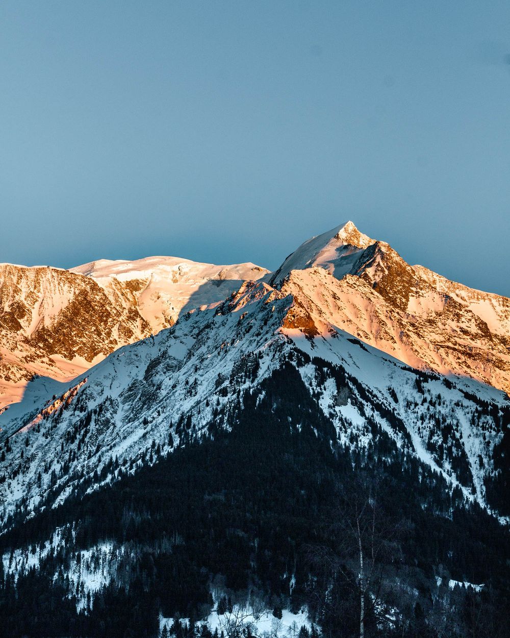 mont blanc