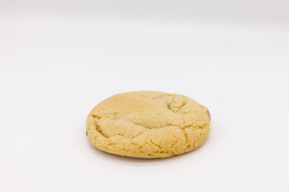 A plain sugar cookie photographed on a white background.