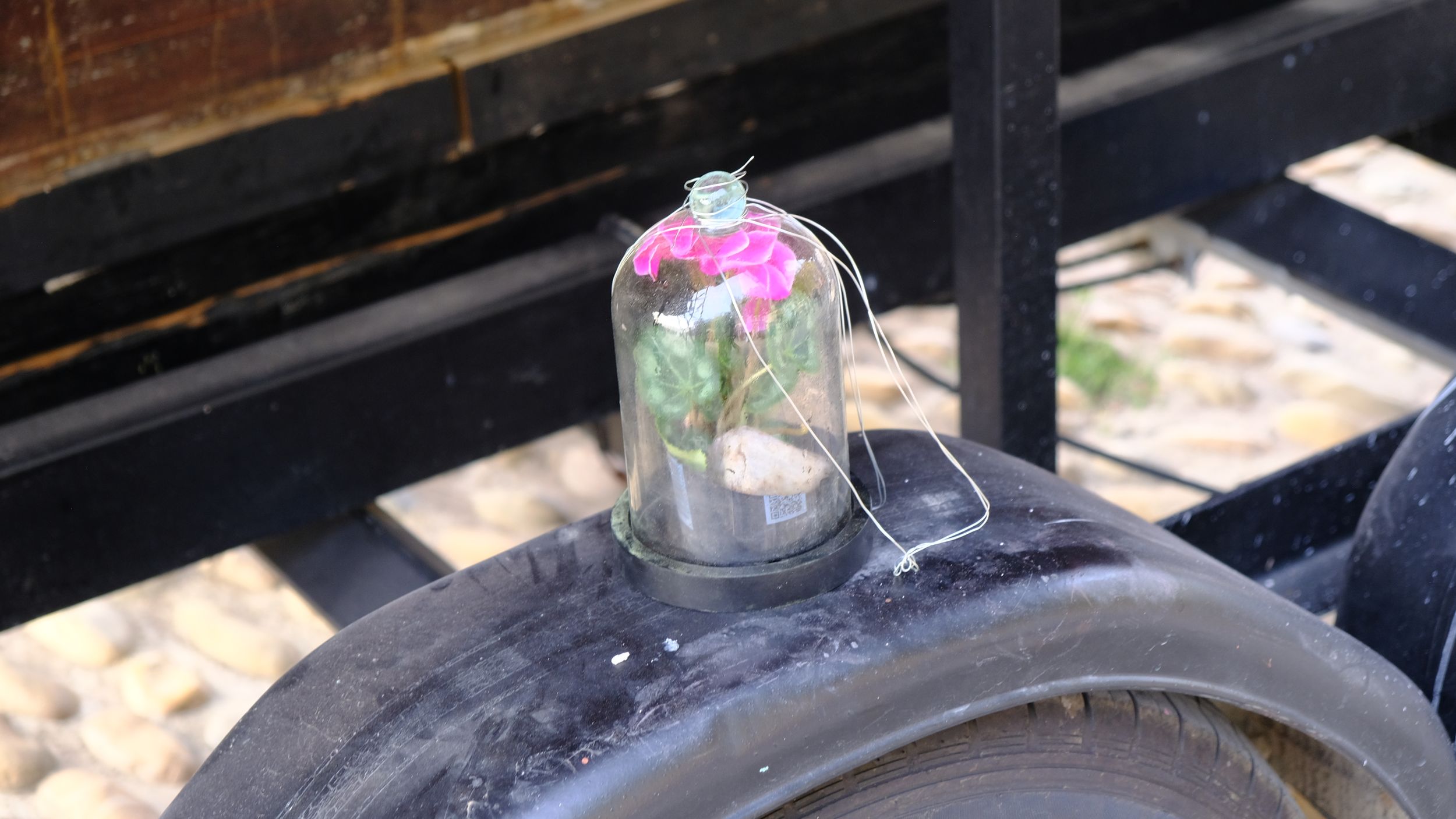 une fleur, élément de décor du bateau