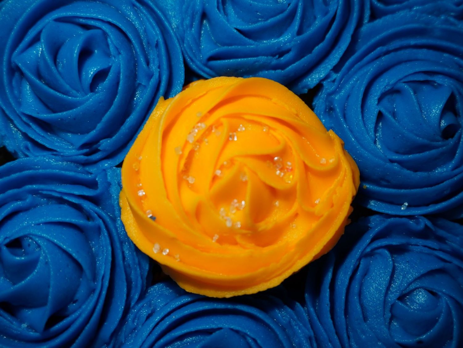 food photographer
Fresno photographer
cupcakes