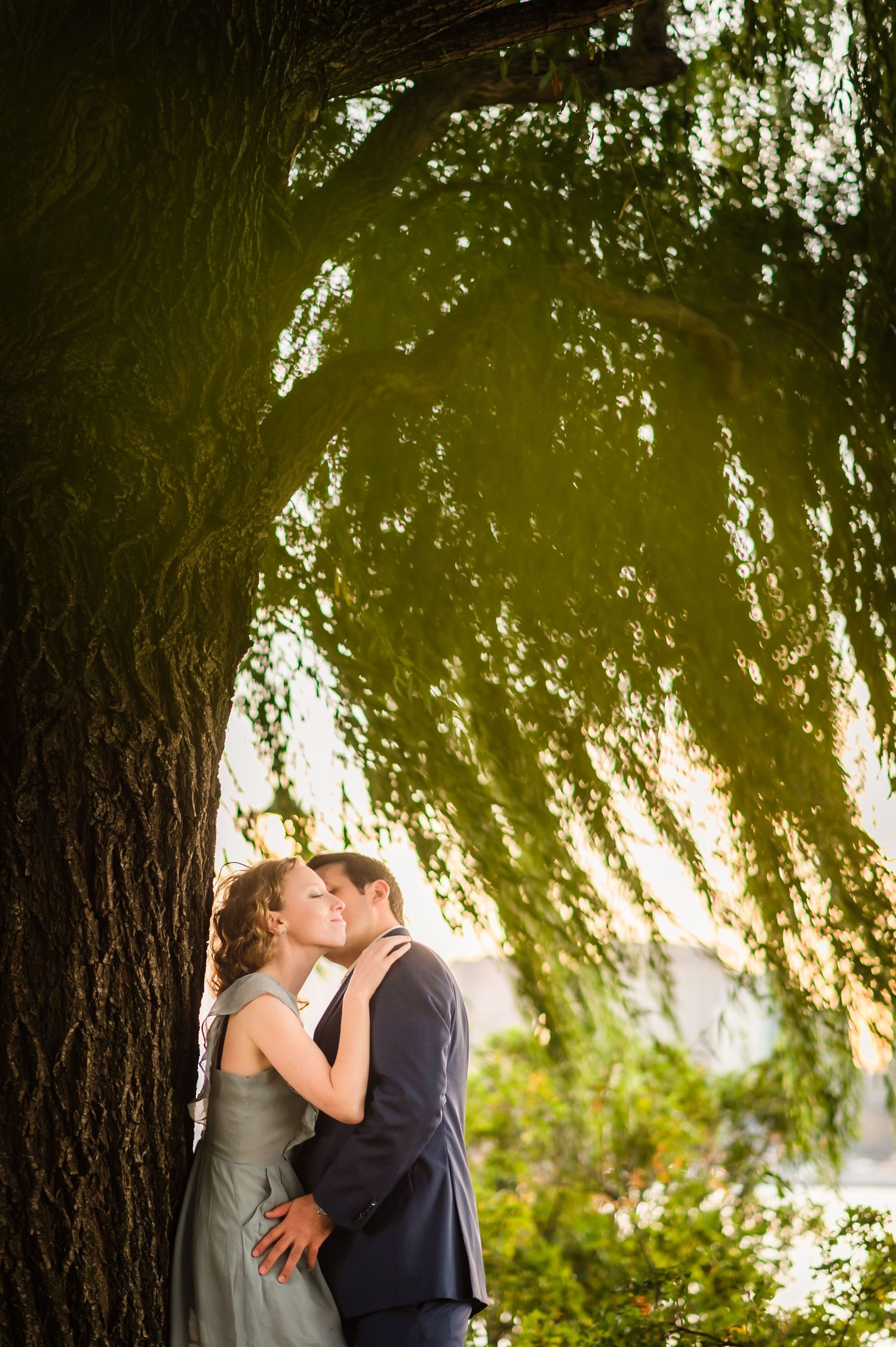 A romantic kiss under a weeping willow tree during golden hour.