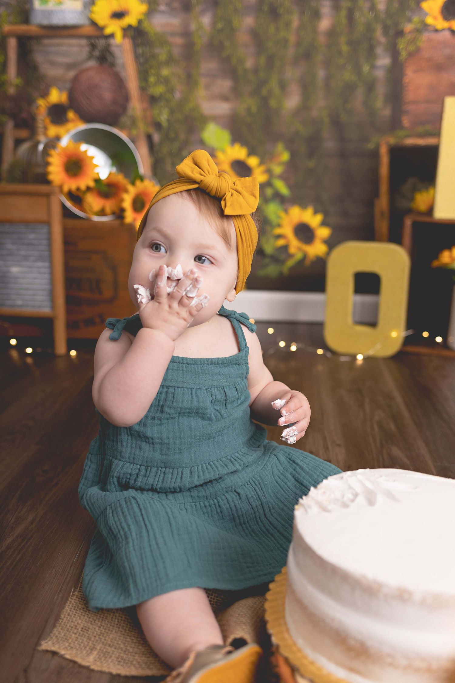 Cakesmash photoshoot Waukesha, Hartland, Oconomowoc, WI