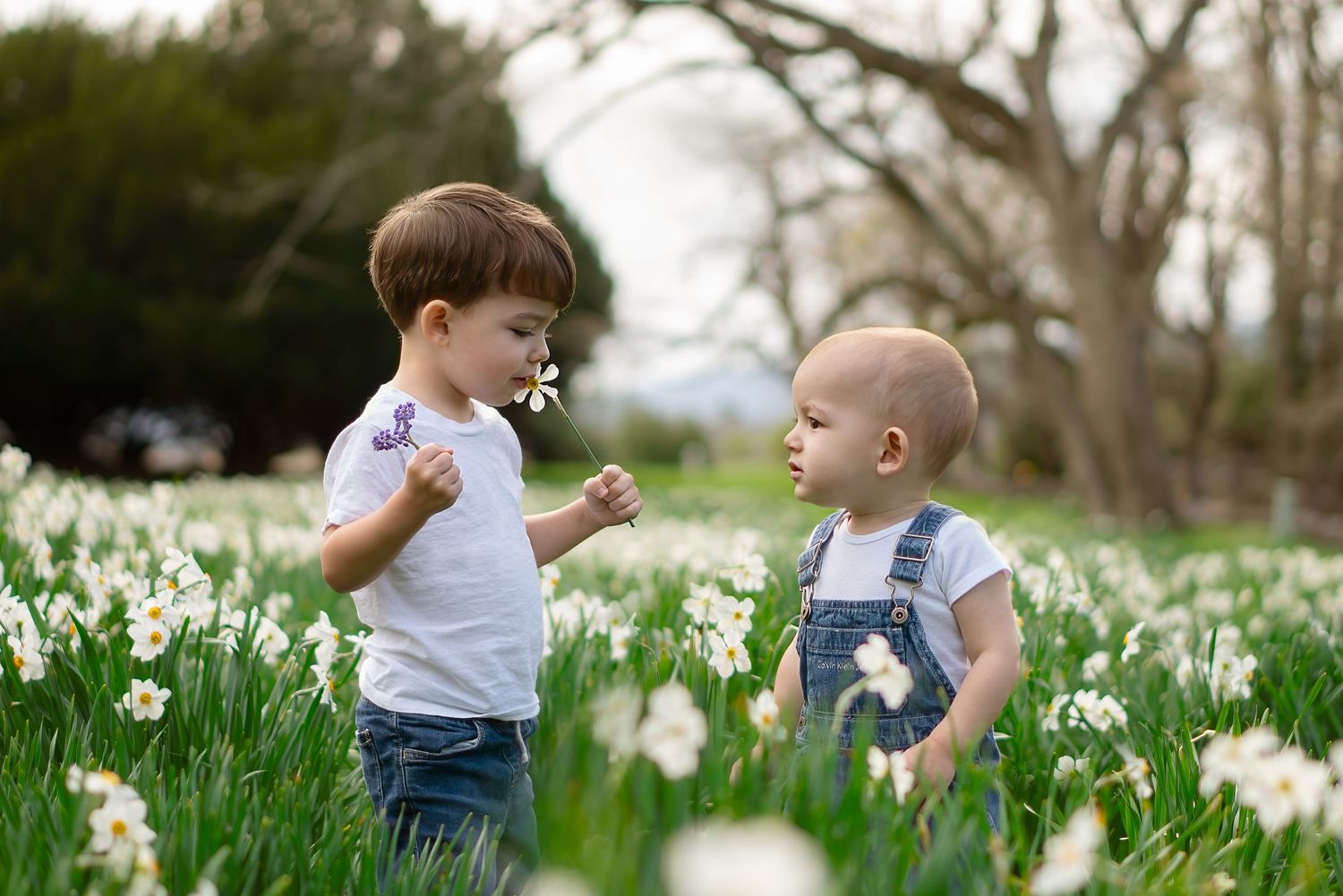 siblings stand together in field of flowers