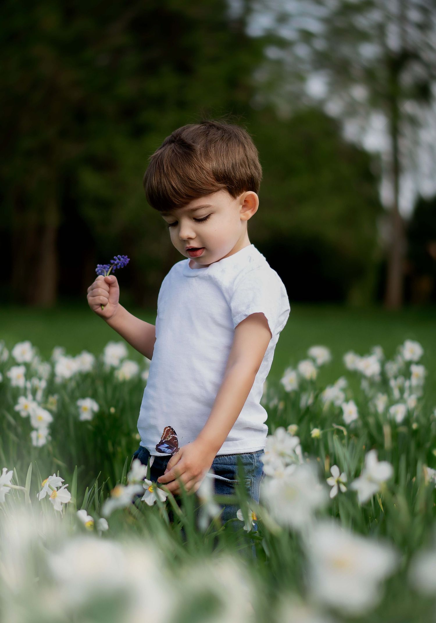 boy watches butterfly perched on hand
