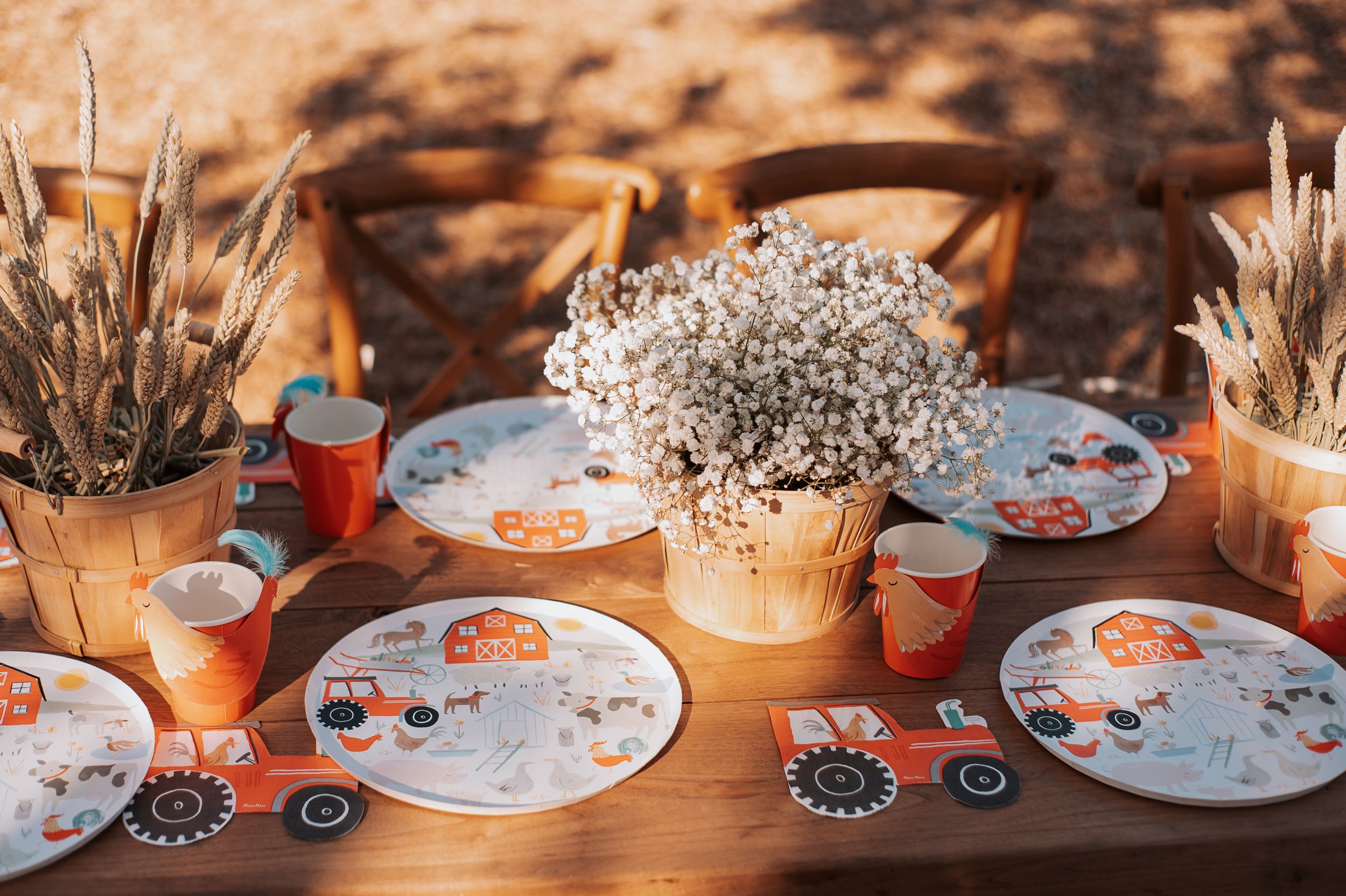 Table settings with baby's breath centerpieces and decorated plates for a rustic outdoor celebration.