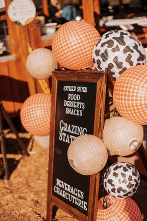 Orange gingham and cow print balloons frame a grazing station sign at a rustic party.
