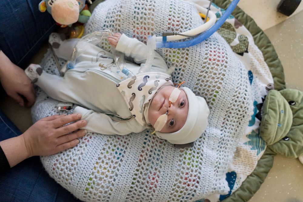 NICU Photography Rochester NY