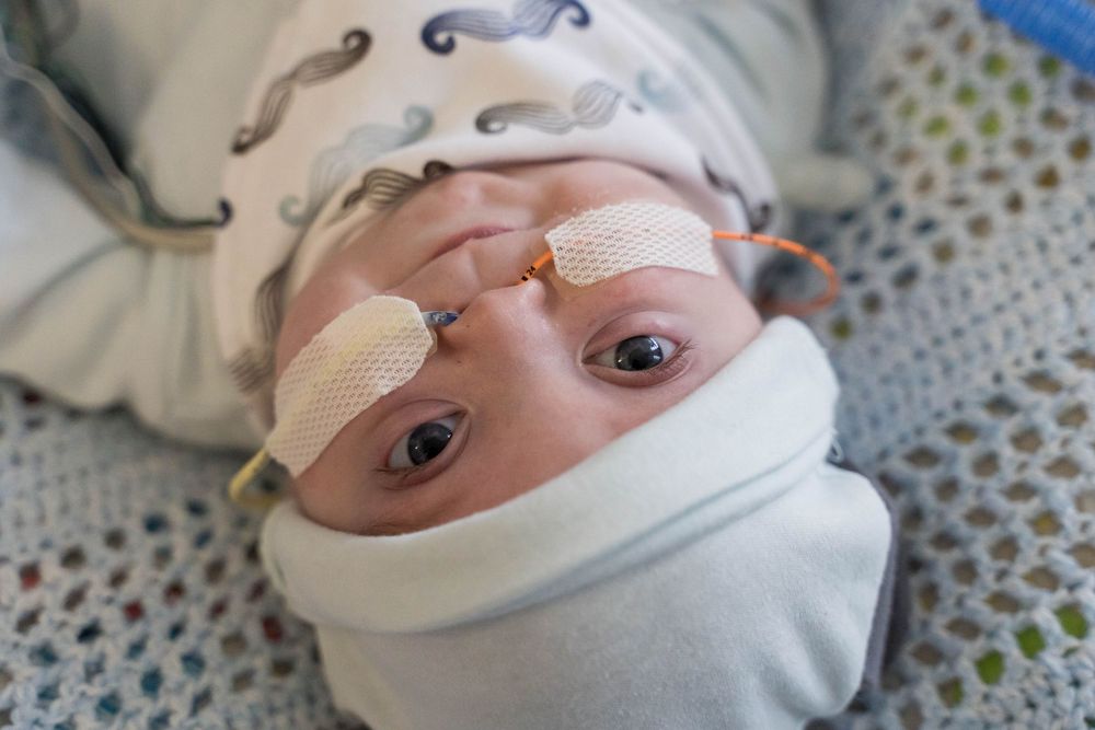 NICU Photography Rochester NY