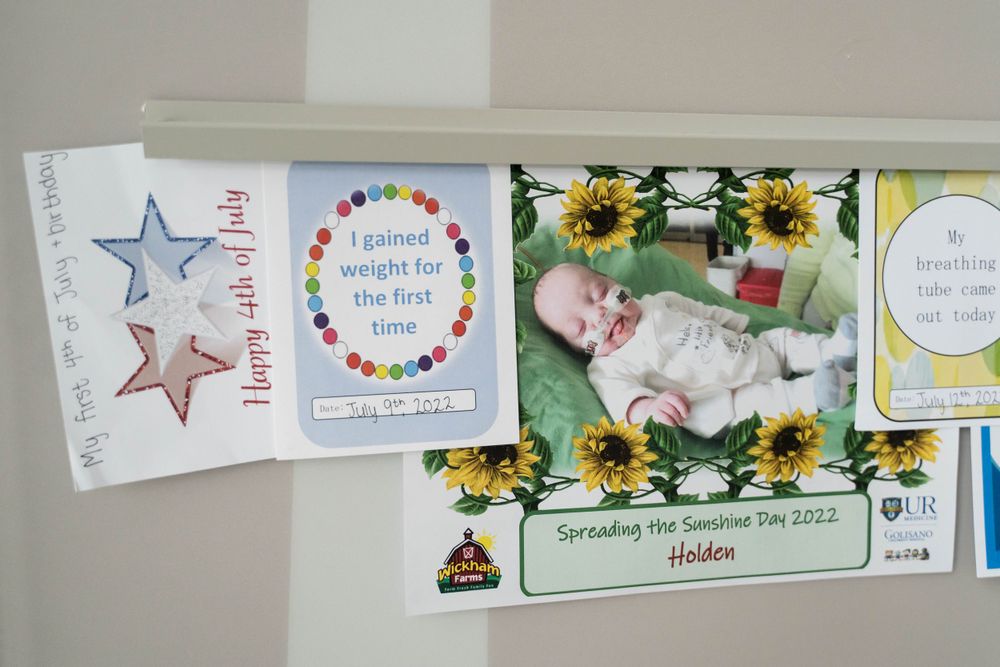 NICU Photography Rochester NY