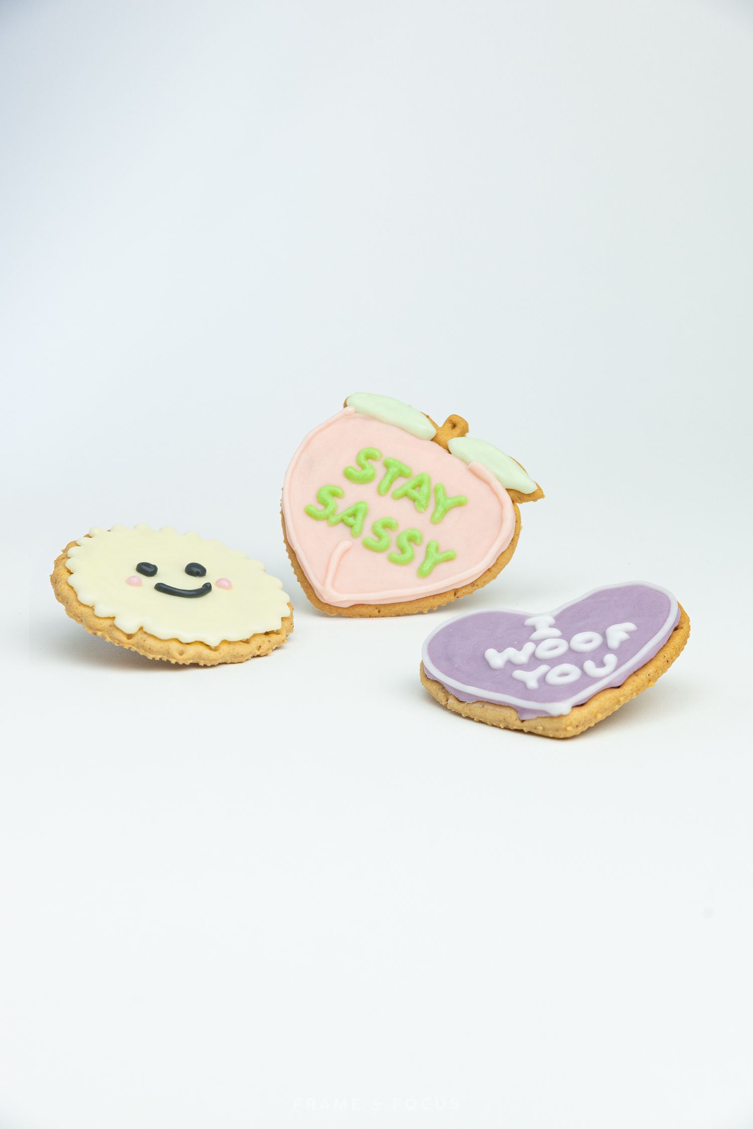 hondenkoekjes van floofsandcookies