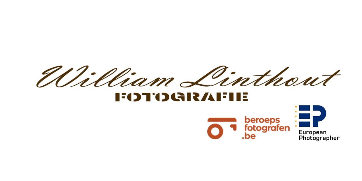 Elegant script logo for William Linthout Fotografie with professional photography credentials.