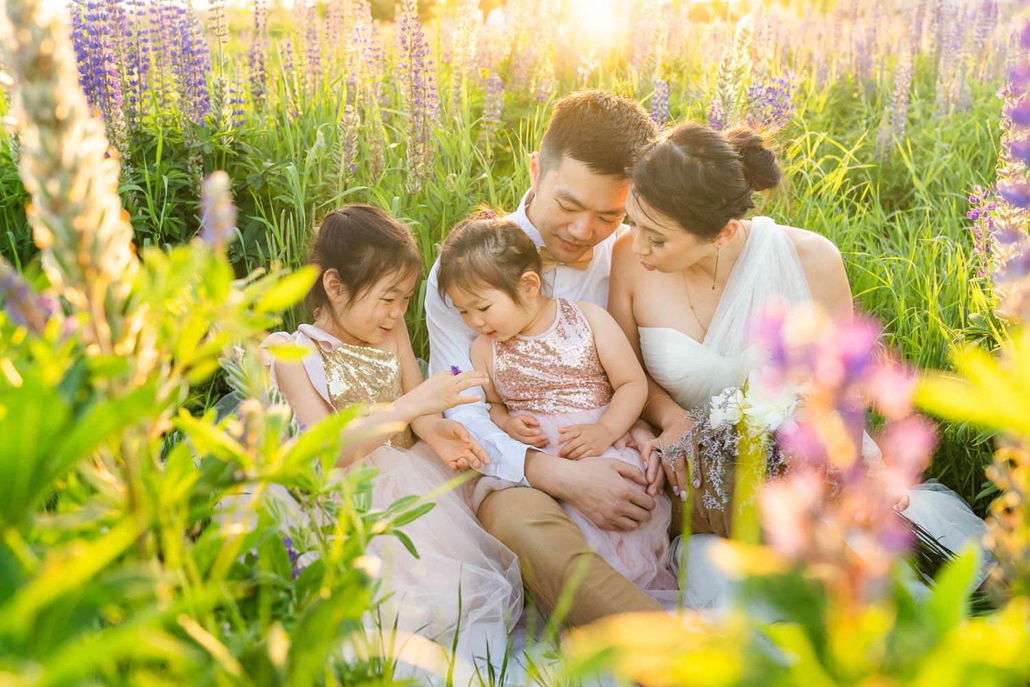 Family sitting in a lupine field admiring a ladybug.