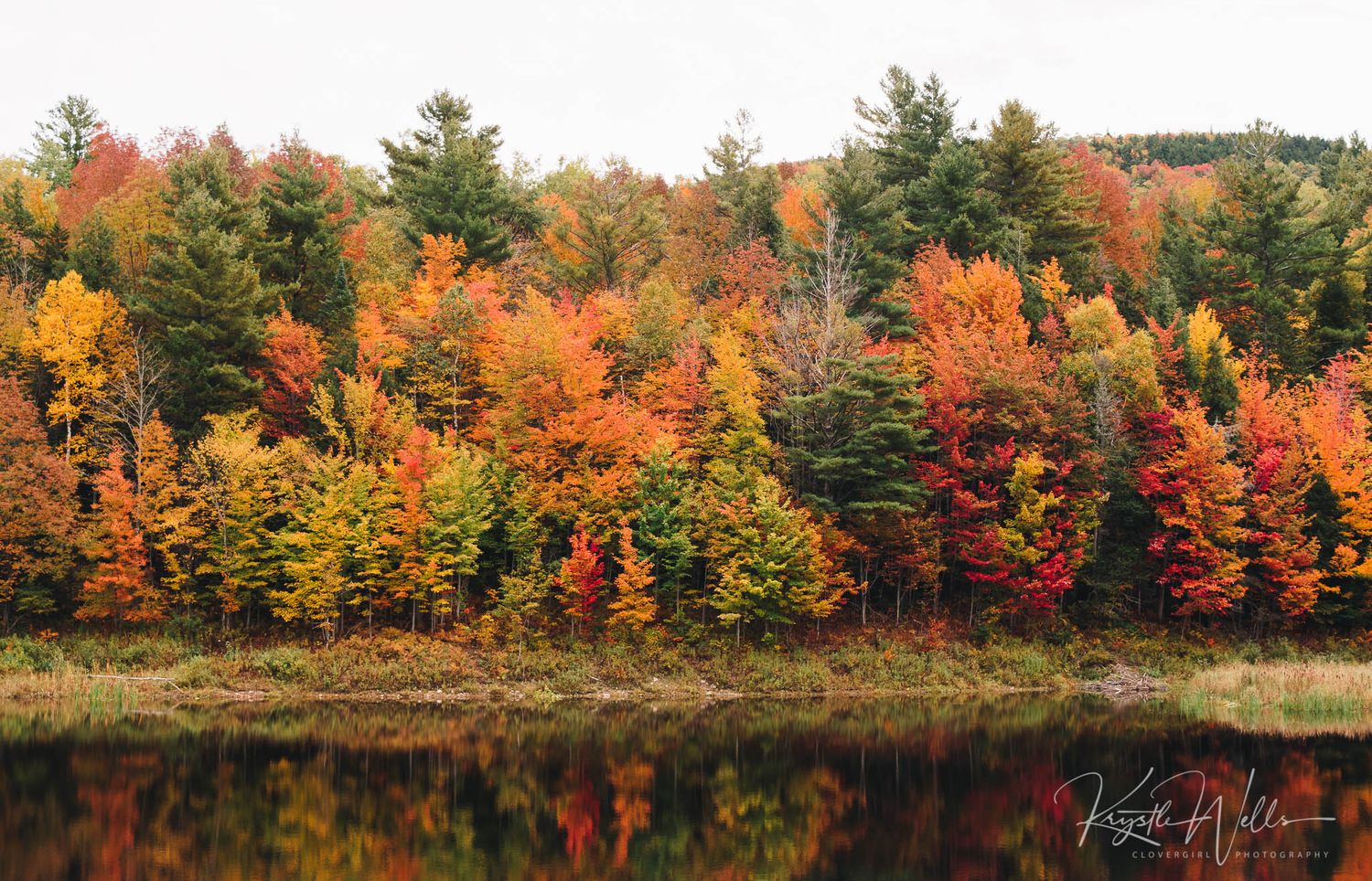 Portfolio Clovergirl Photography By Krystle Wells