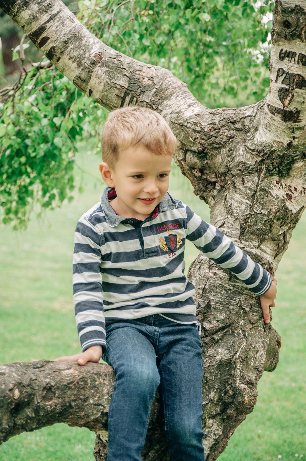 A child in striped shirt sits happily on a textured birch tree branch.