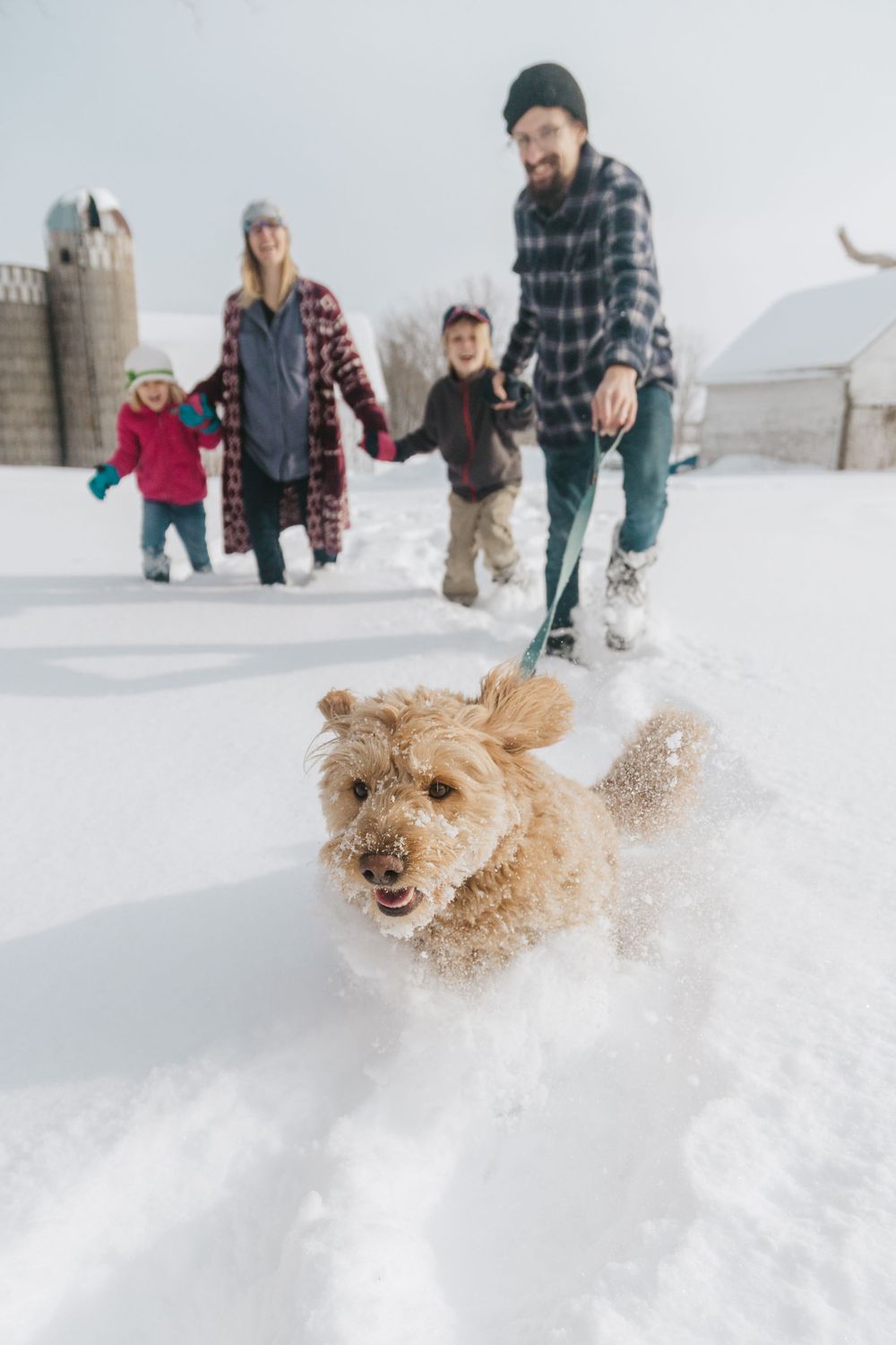 Family with dog in the snow Chaska MN