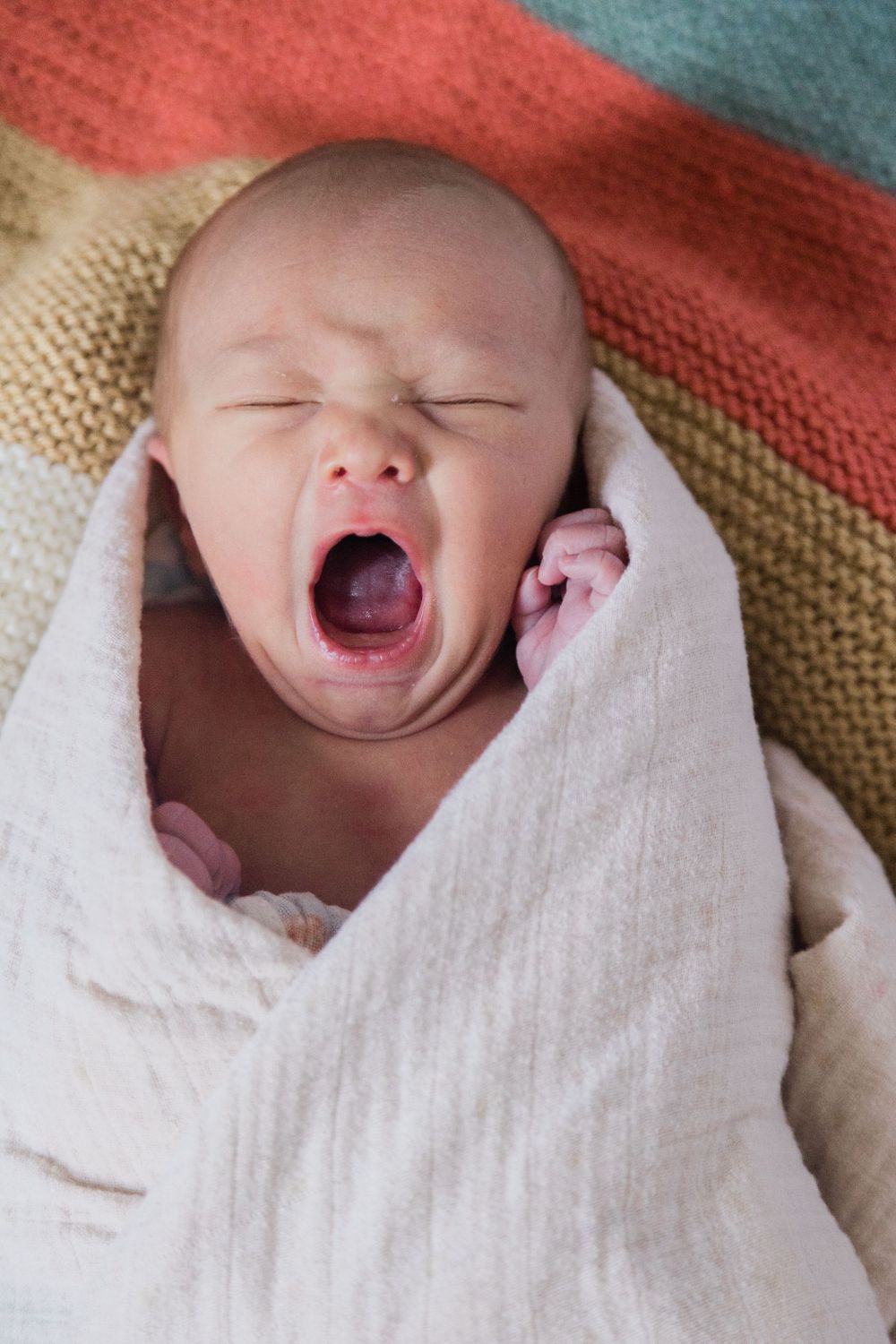 newborn