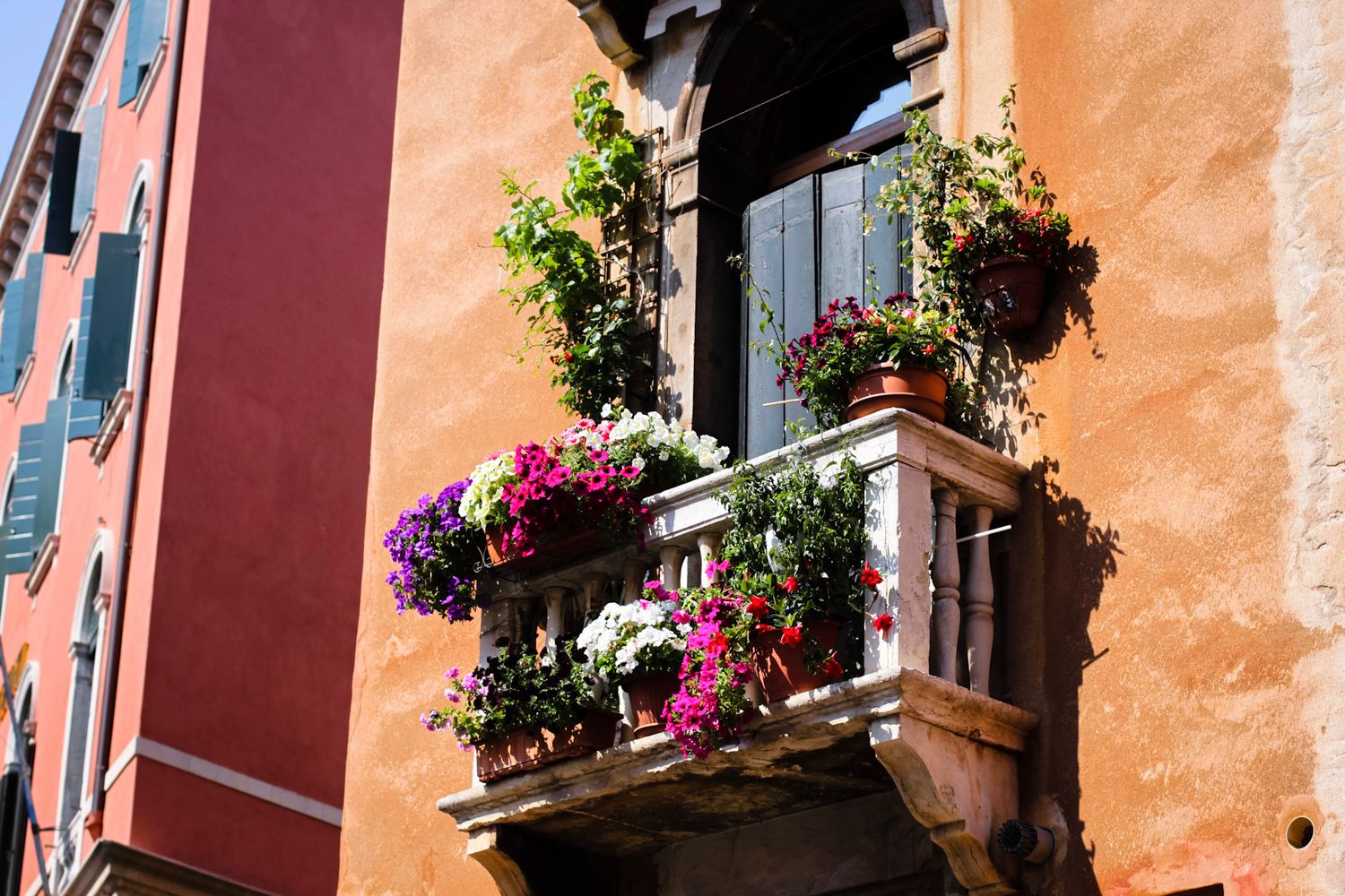 Colorful balcony with pink and purple flowers on an orange Italian building facade.