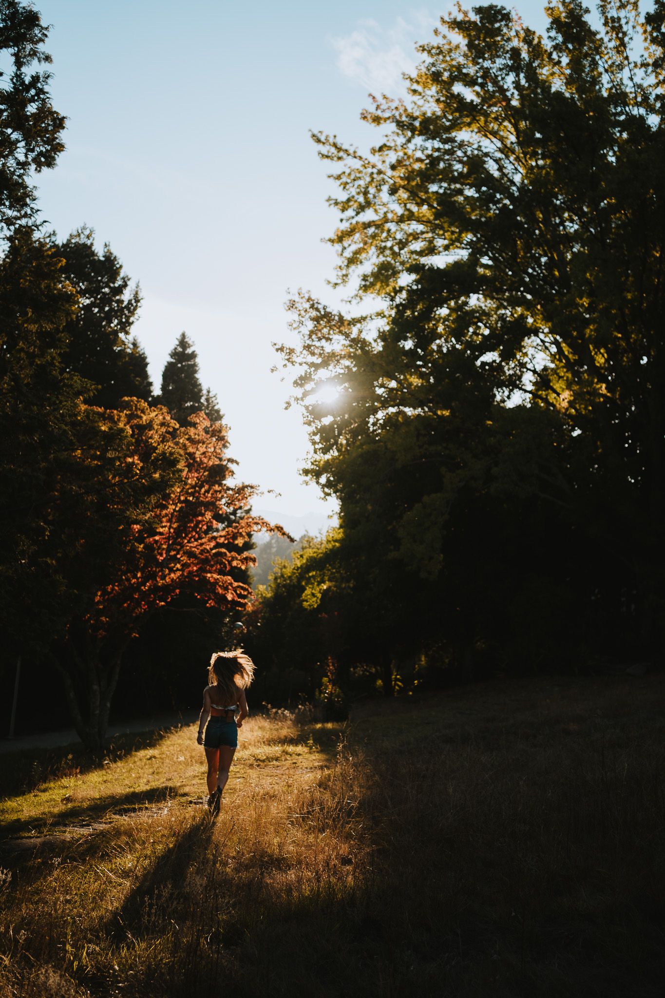 Silhouette of person walking on sunlit forest path during golden hour.