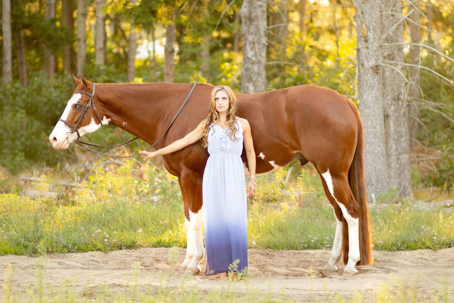 Madison Mulder at Dalton Performance Horses
