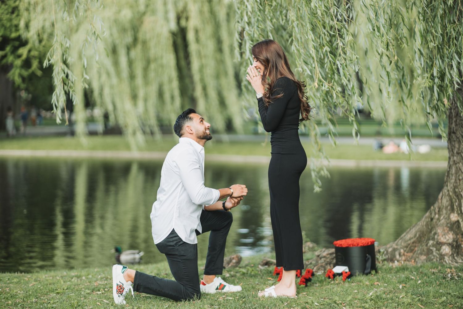 A romantic proposal scene by a lake with a willow tree in the background.