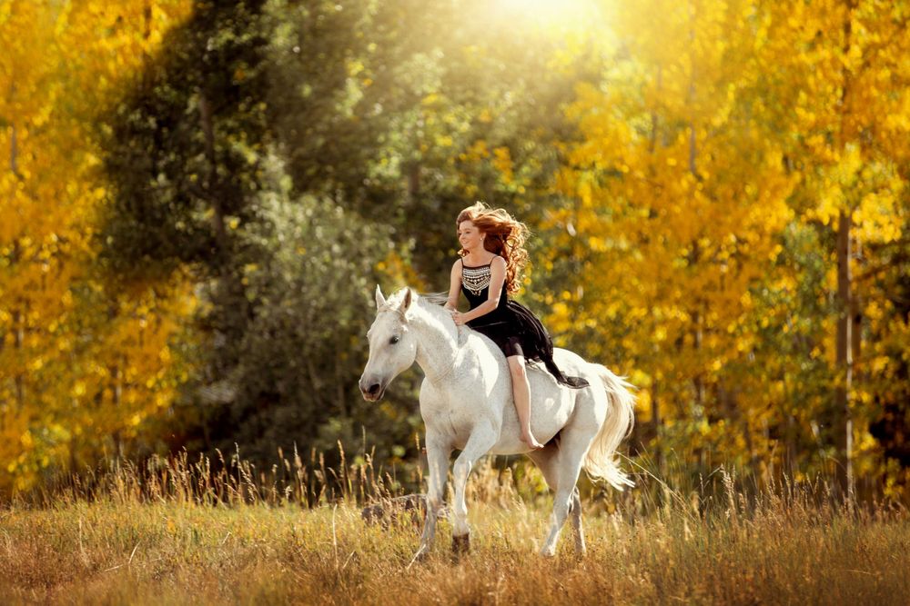 Young girl riding a white horse through golden autumn foliage in bright sunlight.