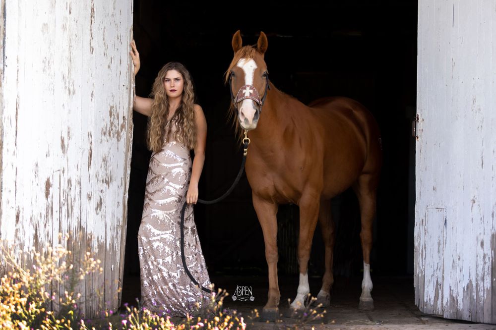 Young woman in elegant gown standing with chestnut horse in rustic barn doorway portrait photo.