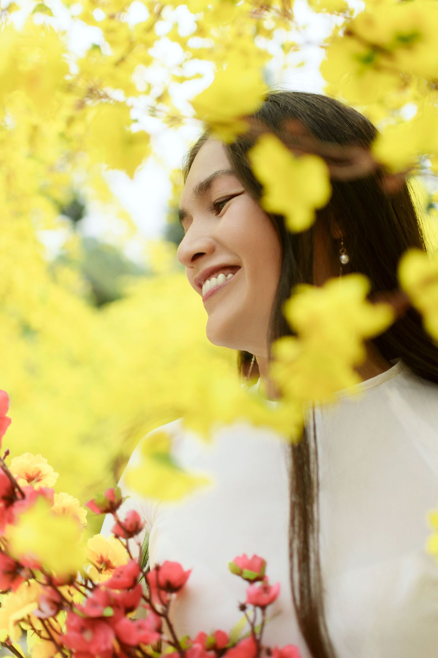 Tet photoshoot under yellow apricot blossoms in Thanh Nien Cultural House by photographer Anastasia Sokyrka in Saigon