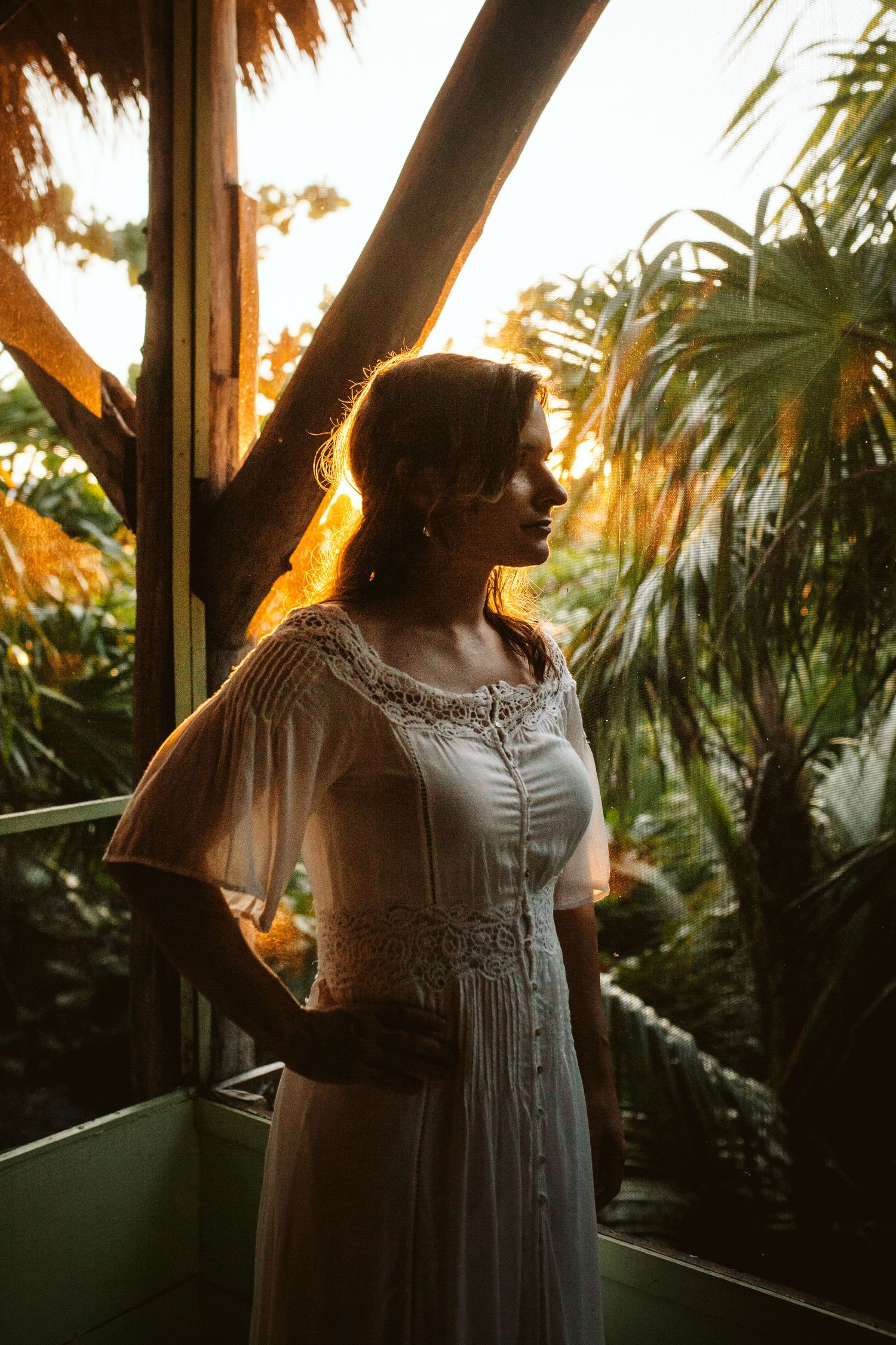 Sunlit silhouette through window with tropical plants creating dramatic shadows.