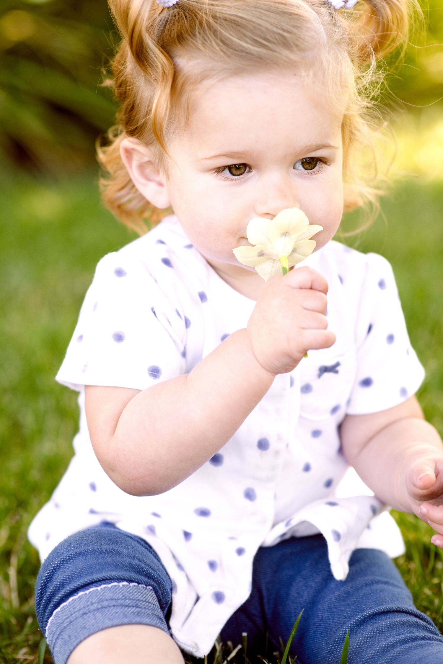 Toddler in polka dot dress eating flower while sitting on grass.