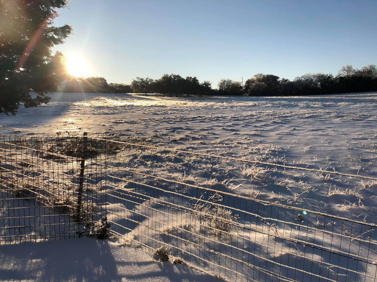 When a Southern Field Frozed 1 and When the Sun Rose on a Frozen Field