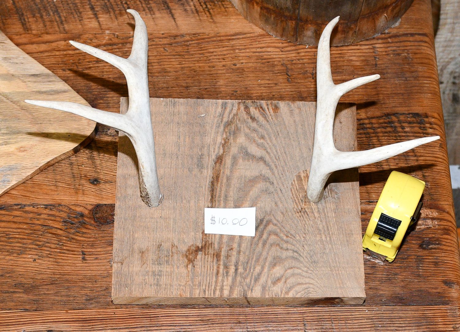 Decorative deer antlers displayed on wooden board with measuring tape.